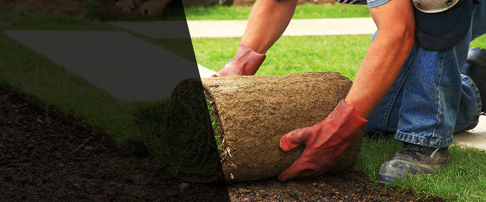 Middle Island Landscapers